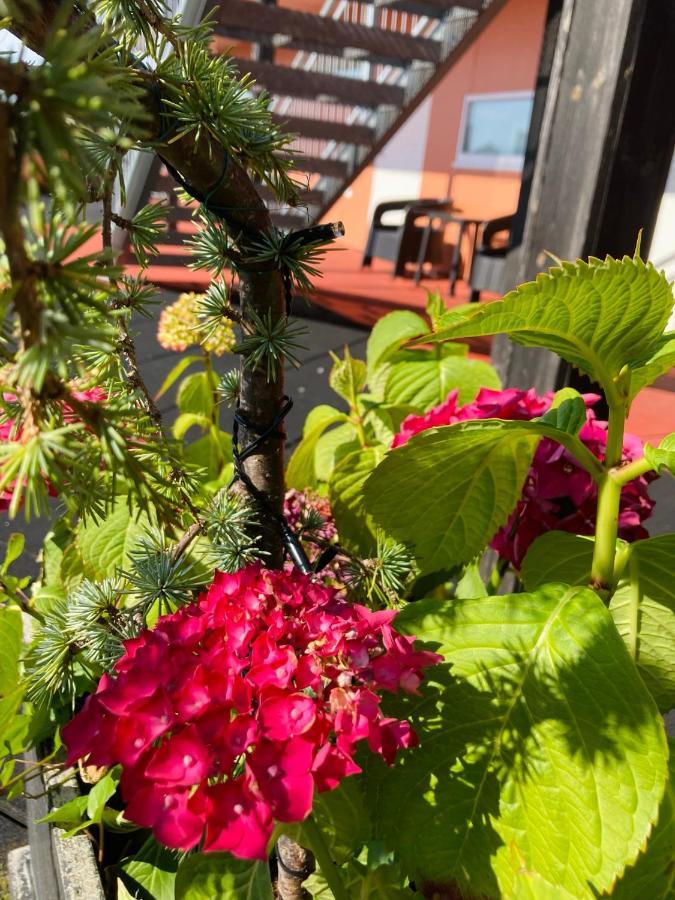 Flotmyrgarden Apartment Hotel Haugesund Εξωτερικό φωτογραφία